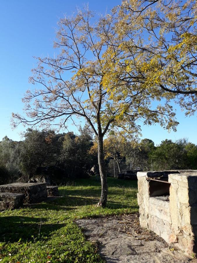 Albergue Alagon Natura Valdeobispo Exteriér fotografie