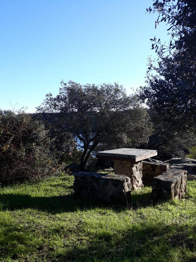 Albergue Alagon Natura Valdeobispo Exteriér fotografie